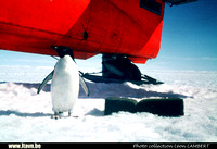 1965-1966 - Expédition Antarctique