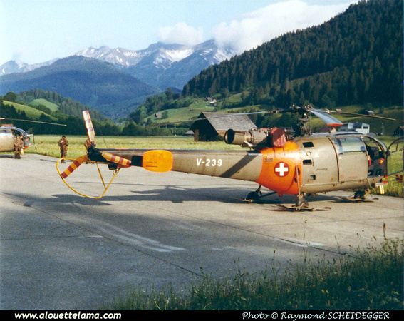Pierre GILLARD: Forces Aériennes - Alouette III &emdash; V239-008548