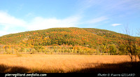 Etats-Unis d'Amérique : Amtrak - Adirondack