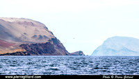 Paracas & Península de Paracas