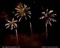 2011-07786