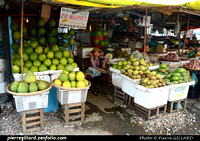 Vinh Long (Vĩnh Long)