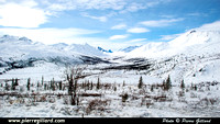 Dempster Highway & Tombstone Territorial Park