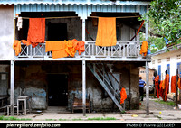 Battambang - Wat Damreï Sâ