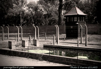 Auschwitz & Birkenau (Oświęcim)