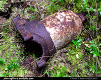 2015-09-06 - Découverte de vestiges du Super Constellation accidenté à Casey en 1973